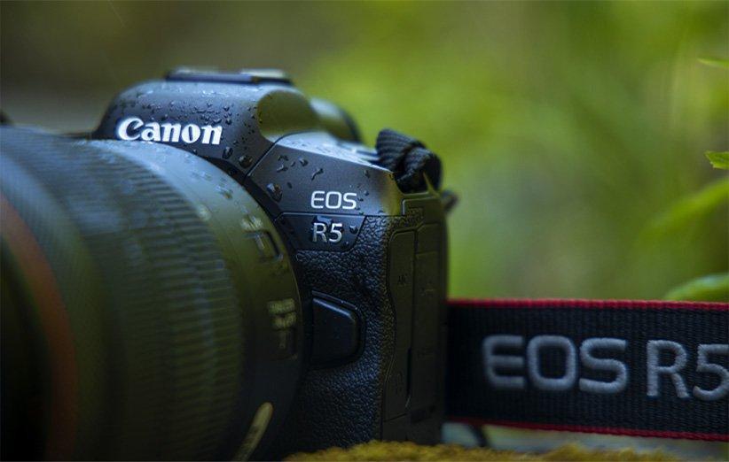 Canon EOS R5 دوربین شگفت انگیز کانن برای عکاسی حیات وحش است
