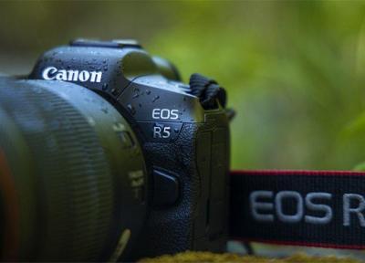 Canon EOS R5 دوربین شگفت انگیز کانن برای عکاسی حیات وحش است