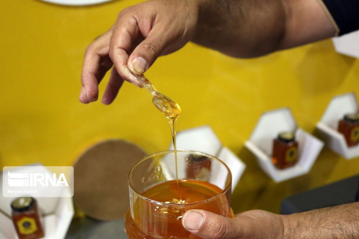 خبرنگاران سرانه مصرف عسل در همدان بالاتر از میانگین کشور است