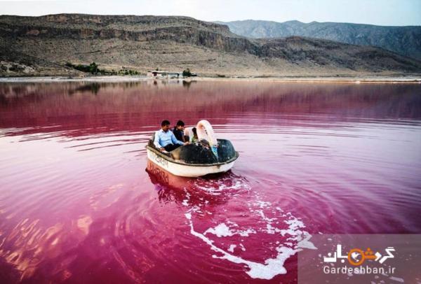 عامل رنگ صورتی و قرمز دریاچه مهارلو شیراز چیست؟