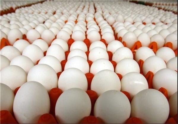 معاون وزیر جهاد کشاورزی: ایران دوازدهمین تولیدکننده تخم مرغ در دنیا است