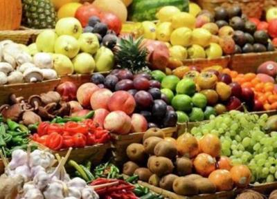 با مصرف این میوه ها پروتئین بدن تان را تامین کنید